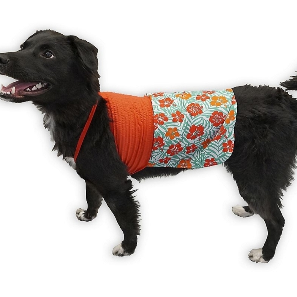 Woof tropical dog dress new